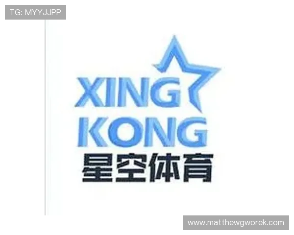 畅玩星空体育app官方登录入口的稳定性与安全性分析