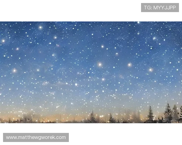 星空入口官方网站首页：星空入口的安全保障措施与用户隐私保护策略