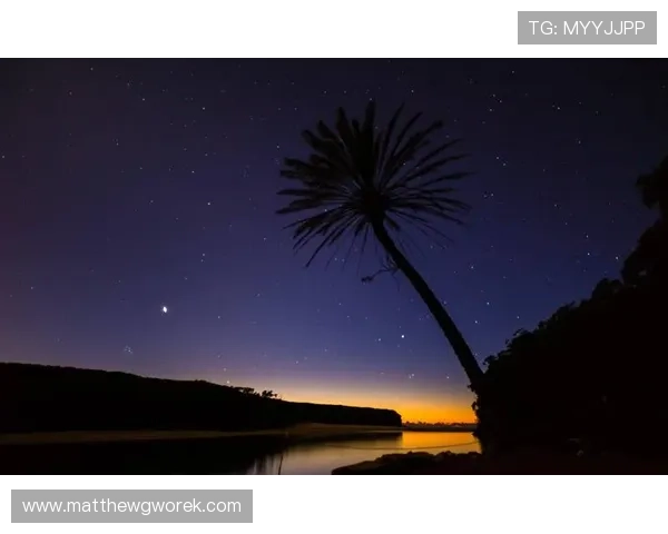 星空地址平台:助力天文爱好者实现星空导航的智能平台 星空地址平台:助力天文爱好者实现星空导航的智能平台