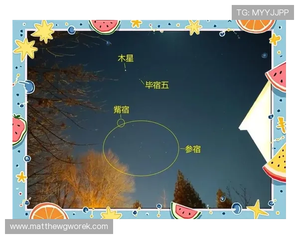 星空官网-首页：专业天文设备推荐、星空观测指南与互动体验专区