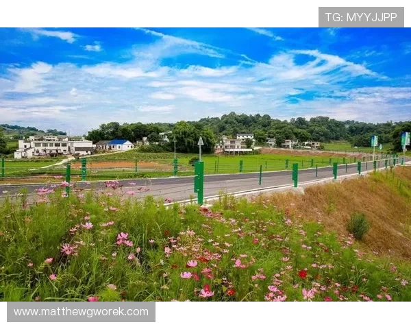 明发体育积极践行绿色体育理念促进可持续发展的行业责任实践