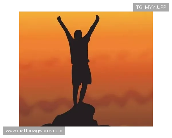 星空体育网站登录入口登录界面功能详解与操作流程指南