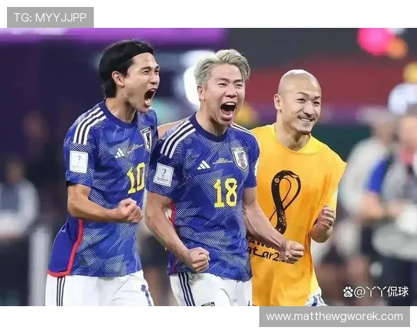 世界杯日本对阵瑞典精彩进球集锦全面回顾与赛后分析